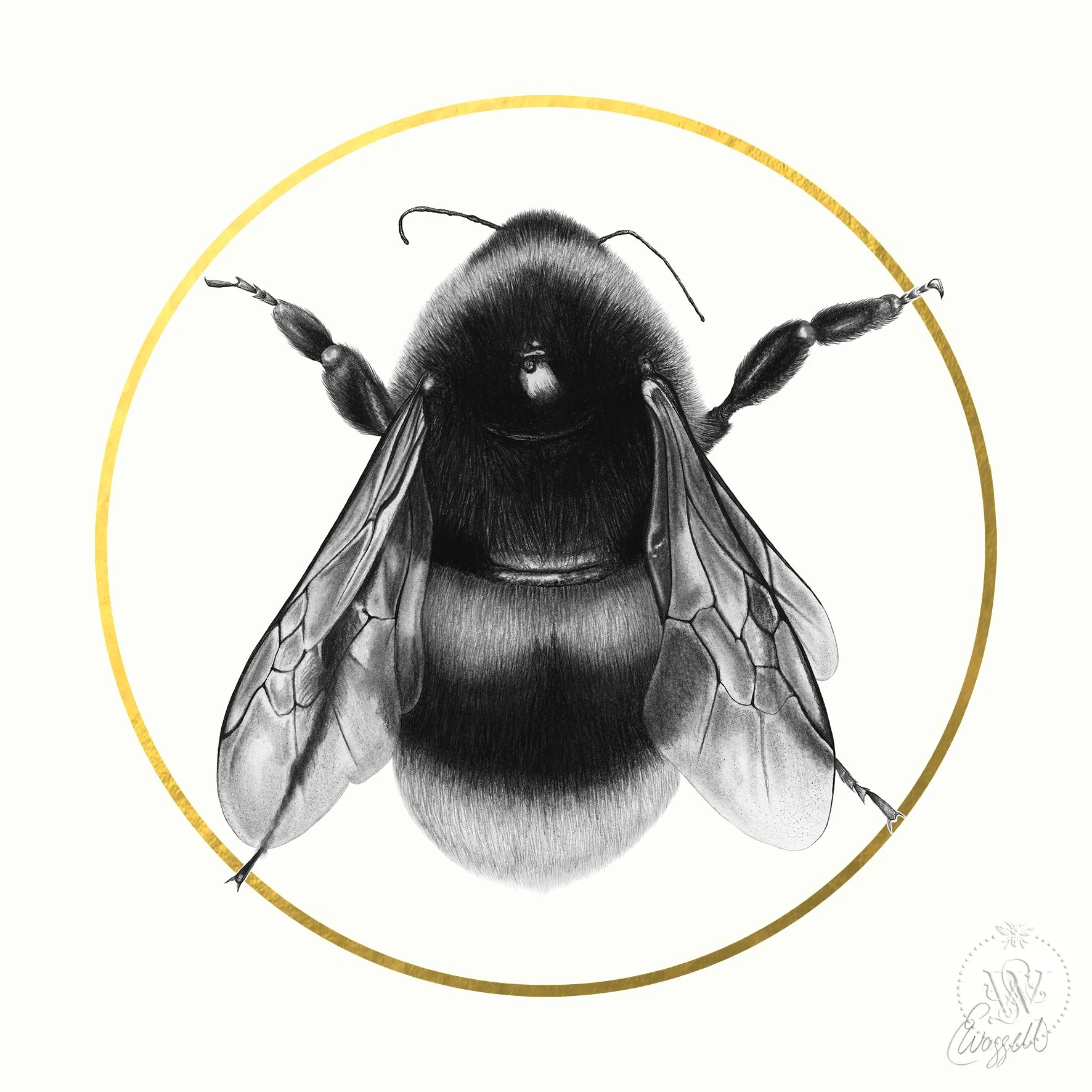 bee+paper.jpg?format=1500w